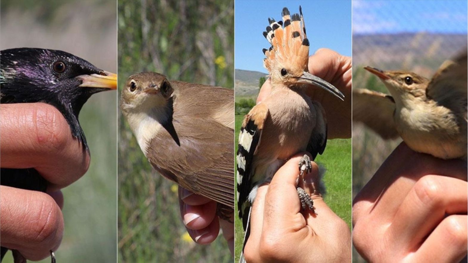 Iğdır/Tuzluca İlçesi Belediye Başkanı Ahmet Sait Türkan: " İlçemiz, antik çağlara uzanan tarihi ve doğası ile önemli bir Turizm Merkezdir... "