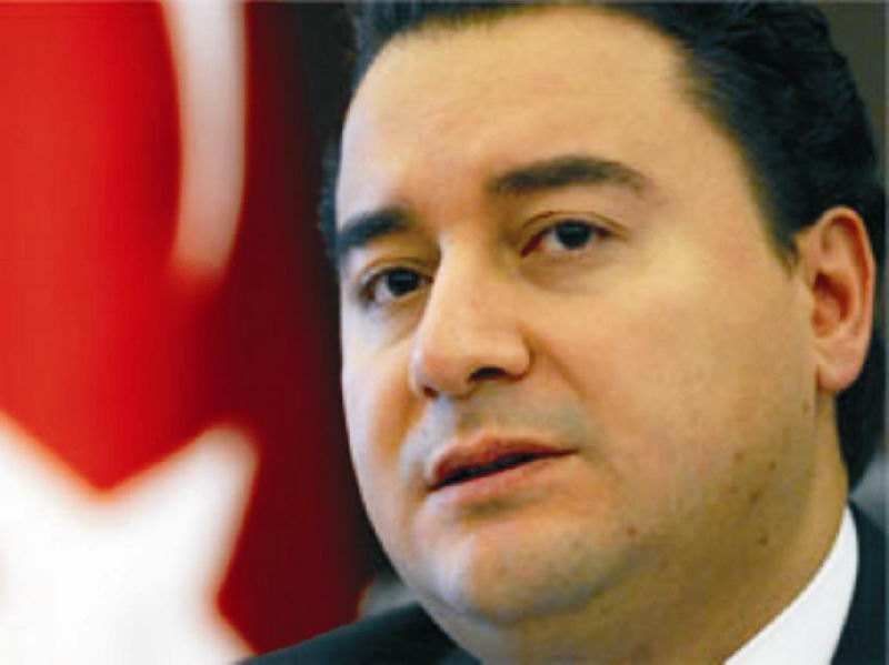 Babacan: Dalgalanma gelir geçer