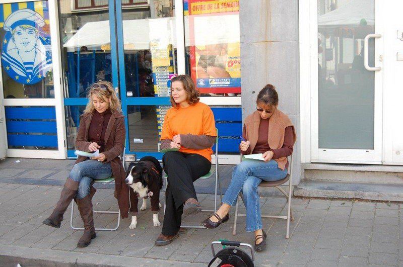 EVERE'DE 'EN GÜZEL KÖPEK' YARIŞMASI