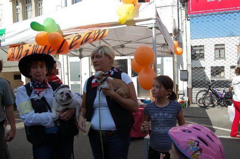 EVERE'DE 'EN GÜZEL KÖPEK' YARIŞMASI