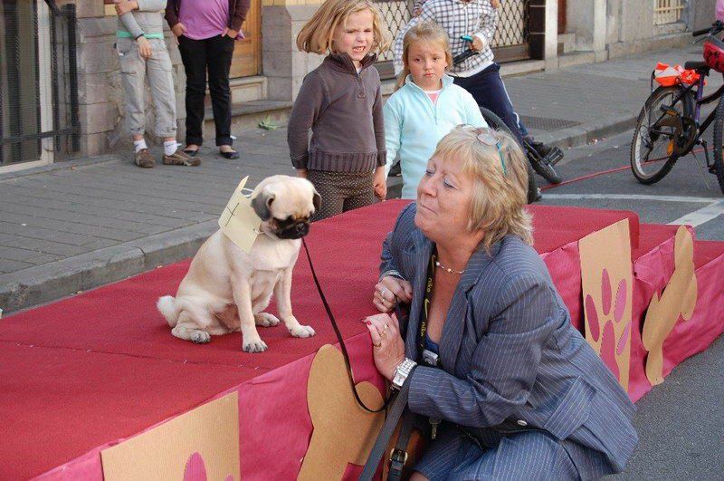 EVERE'DE 'EN GÜZEL KÖPEK' YARIŞMASI