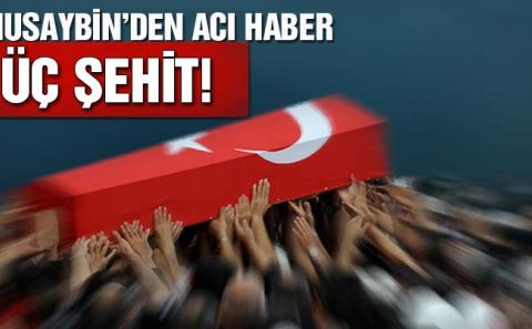 Nusaybinâ€™den acı haber: Üç şehit