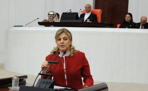 AKP ESKİ BURSA MİLLETVEKİLİ TULİN ERKAL KARA ÜSKÜP BÜYÜKELÇİSİ OLDU
