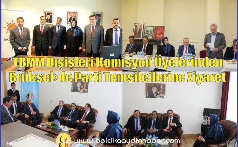 TBMM Dışişleri Komisyonu üyeleri Brüksel'de AK Parti, CHP ve BTFâ€™nu ziyaret etti.
