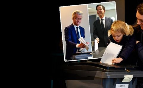 Hollanda sandık başında... İşte son seçim anketinden çıkan sonuç ve ırkçı Wilders'ın partisine rest