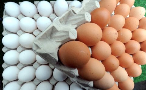 Belçika Yumurta Krizinde Hollanda'yı Suçladı 