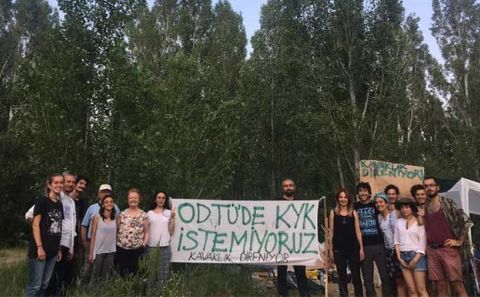 ODTÜâ€™DE KYK DİRENİŞİ. KESİLENLER DIŞINDA DİĞER AĞAÇLARIN KESİMİ ŞİMDİLİK DURDURULDU
