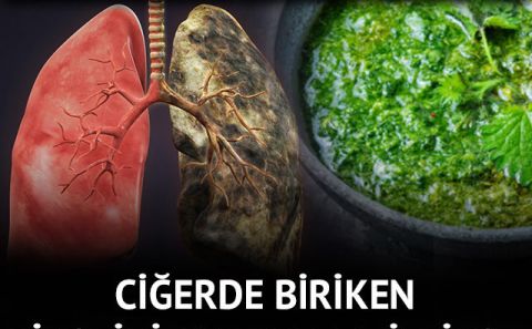 Nikotini vücuttan atmaya yarayan besinler
