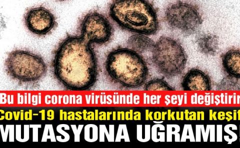 ~~Son dakika… Bilim insanlarından korkutan corona açıklaması: 40 mutasyon geçirmiş virüs bulundu