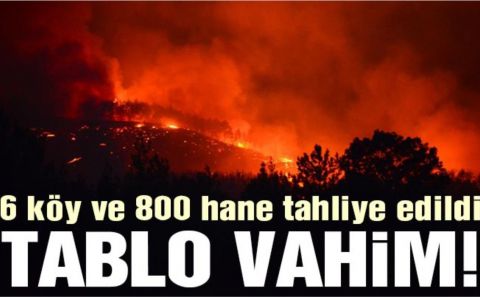 Adanaâ€™da orman yangınına müdahale sürüyor