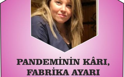 PANDEMİNİN KÃ‚RI, FABRİKA AYARI /Zana Eminli Acar